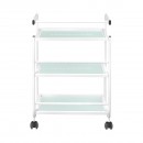 Cosmetic table type 1013 giovanni