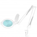 Moonlight 8012/5" bijela LED lampa s povećalom za stol