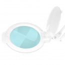 Moonlight 8012/5" bijela LED lampa s povećalom za stol