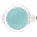 Moonlight 8012/5" bijela LED lampa s povećalom za stol