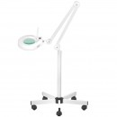 S5 LED magnifier lamp + tripod S5 LED magnifier lamp + tripod