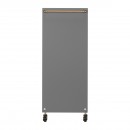 GABBIANO HAIRDRESSER TROLLEY SOLO GOLD GRAY
