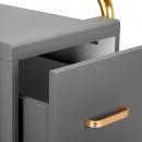 GABBIANO HAIRDRESSER TROLLEY SOLO GOLD GRAY