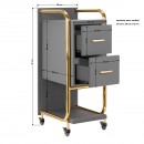 GABBIANO HAIRDRESSER TROLLEY SOLO GOLD GRAY