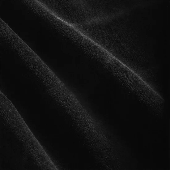 CRNI WELUR LIST — slika 2