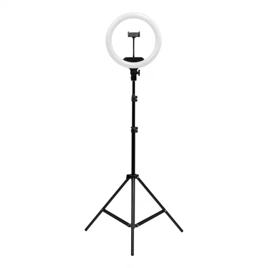 Lamp Ring Light 13