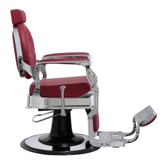 BUZZ SILVER BURGUNDY — slika 4