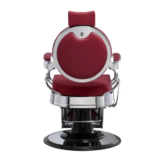BUZZ SILVER BURGUNDY — slika 5