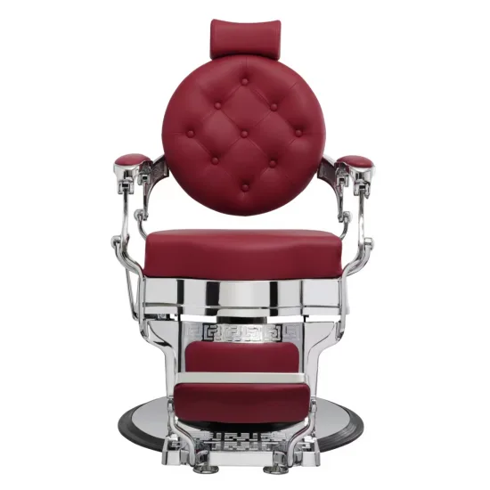 BUZZ SILVER BURGUNDY — slika 3