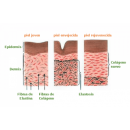 CaviVex RF - Cavitation and Radiofrequency (interface in Croatian) CaviVex RF - Cavitation and Radiofrequency (interface in Croatian)